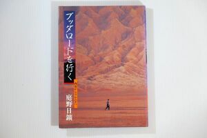 508735ウイグル 「ブッダロードを行く　西安からウルムチへ」庭野日鉱　佼成出版社 世界地誌 A5 112406