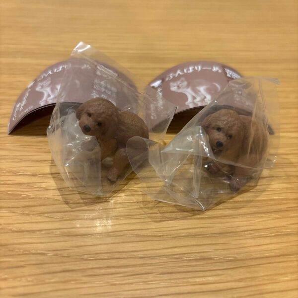 タカラトミーアーツ ふんばりーぬ 犬フィギュア トイプードル2点セット!