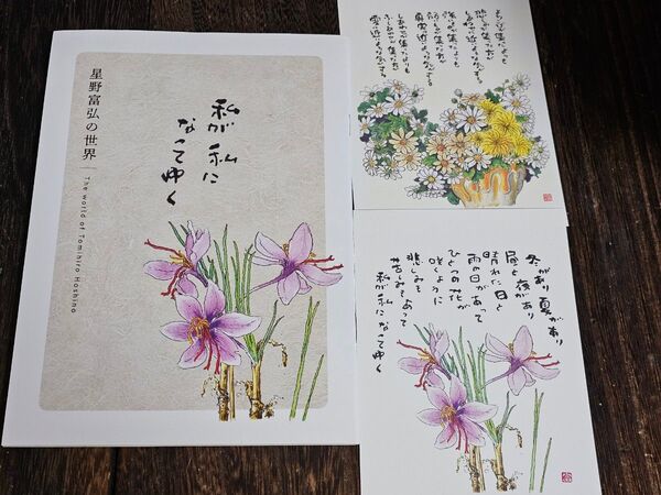 星野富弘の世界 冊子と 絵葉書 ポストカード2枚