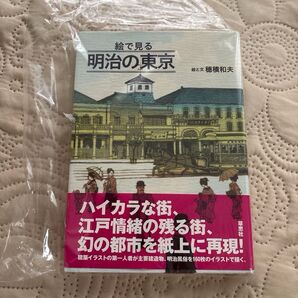 絵で見る 明治の東京 /穂積和夫
