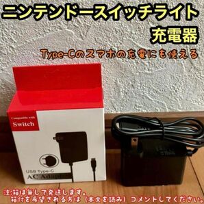 ニンテンドー新品未使用スイッチライト 充電器 acアダプター 互換品