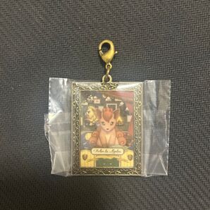 ポケモン ロコン キーホルダー メタルチャーム ポケモン博士の観察手帳
