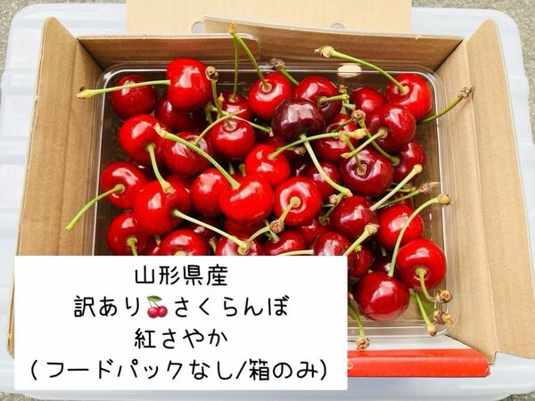 さくらんぼ(紅さやか/訳あり/500g/バラ詰め)加工用にもおすすめ
