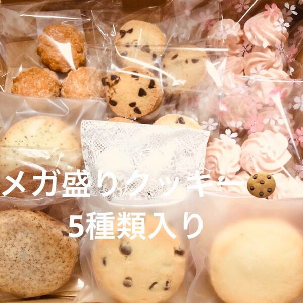 メガ盛りクッキー5種類&クッキー詰め合わせ 手作りお菓子 焼き菓子詰め合わせ