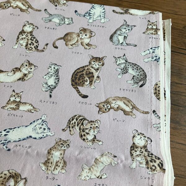 オックス ワイルドキャッツコレクション/野生の猫図鑑/ネコ科/ねこ/キャット/CAT/ライオン/ホワイトタイガー/ヒョウ
