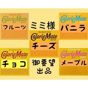 カロリーメイト アソート 特別割引価格 (2セット同時購入割引適用)