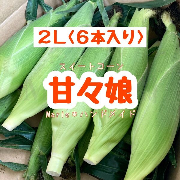 甘々娘 2L〈6本〉スイートコーン とうもろこし 産地直送 期間限定