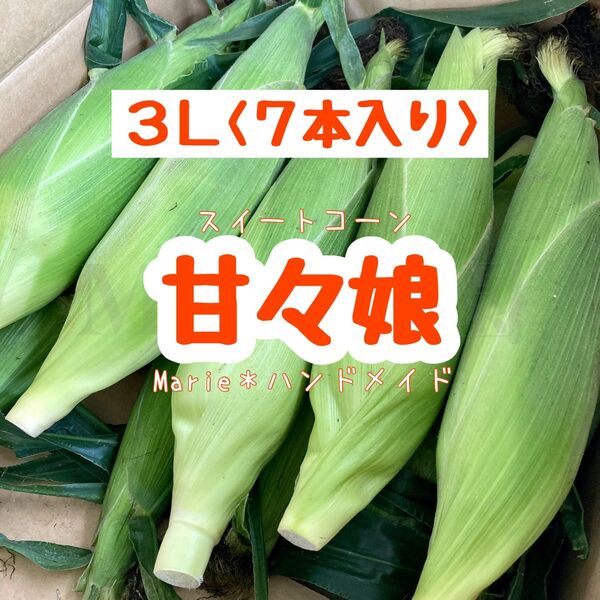 甘々娘 3L〈7本〉スイートコーン とうもろこし 産地直送 期間限定