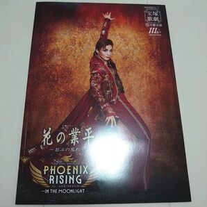 月組 花の業平 PHOENIX RISING 全国ツアー プログラム