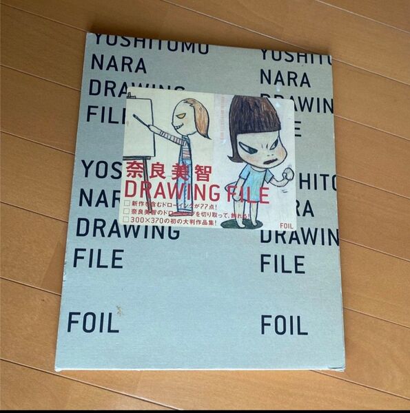 絶版 奈良美智 Drawing File 美品