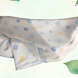 接触冷感 生地 クールクロス夏用犬シャツ