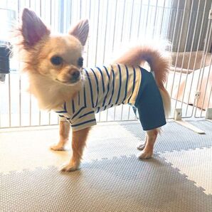 犬服ハンドメイド:ボーダー&デニムカバーオール