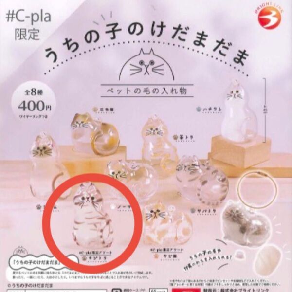 うちの子のけだまだま キジトラ C-pla限定アソート