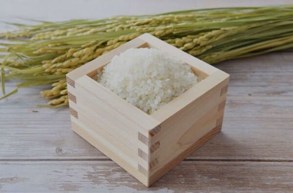 お米10kg 無洗米