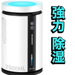 LETCREN 除湿機 小型 衣類乾燥 静音 ダブルペルチェ式