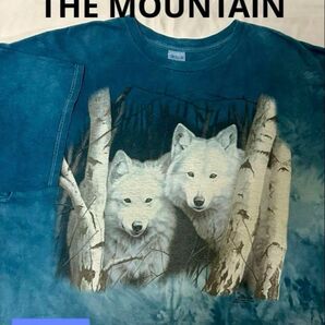 古着90sヴィンテージ THE MOUNTAIN GILDAN ネイチャーウルフ タイダイ染 Tシャツ 2XL