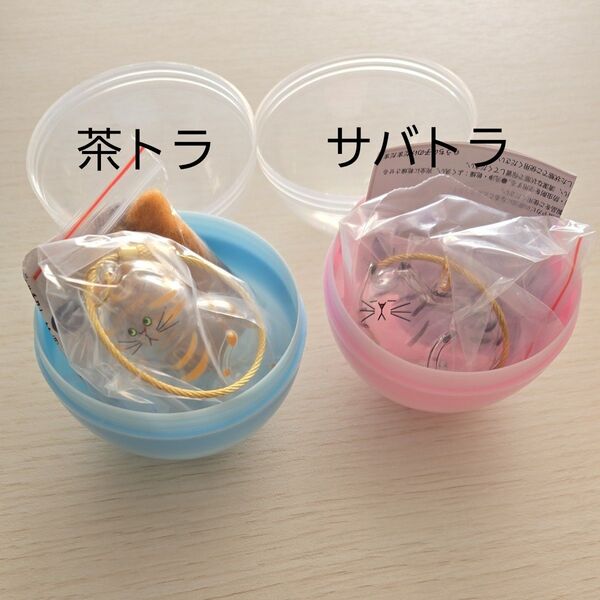 うちの子のけだまだま 茶トラ サバトラ