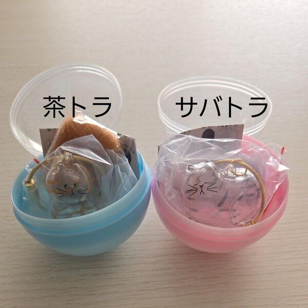 うちの子のけだまだま 茶トラ サバトラ