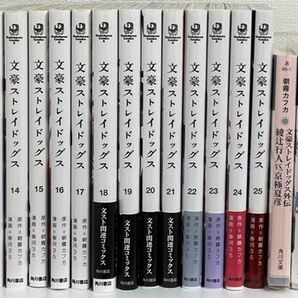 文豪ストレイドッグス 25冊セット&小説全巻セット