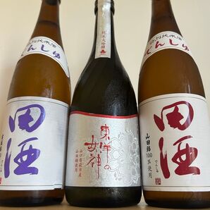 田酒 東洋美人