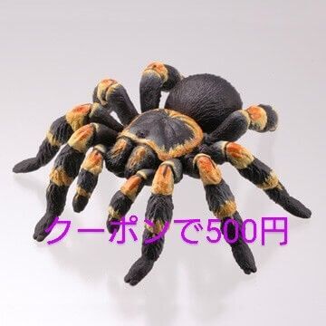 ガチャ 有毒危険動物大全 メキシカンレッドニータランチュラ 海洋堂 カプセル