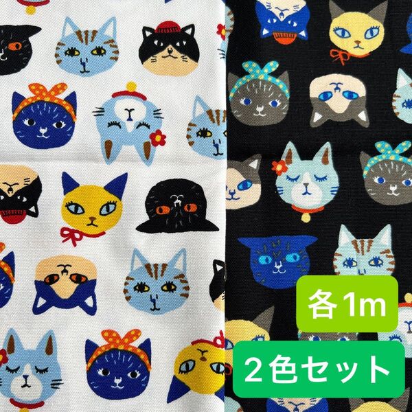 猫柄 猫フェイス オックス セブンベリー