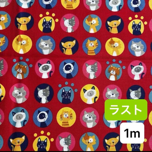 猫柄 サークル トラ猫 ハチワレ 赤 シーチング生地 1m