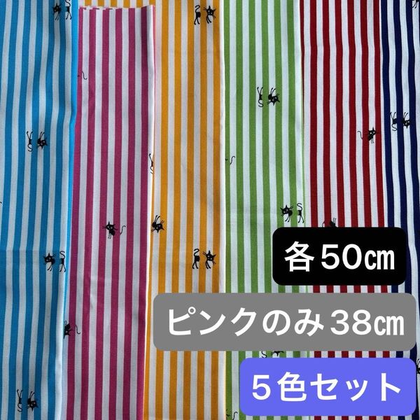 黒猫 ストライプ猫 ココランド オックス
