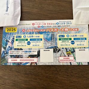 ナガシマスパーランド パスポート券 1枚 有効期限2025年9月30日