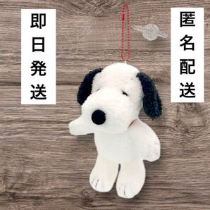 USJ ユニバ スヌーピー ぬいぐるみ キーホルダー ぬいぐるみキーホルダー ピーナッツ 美品 大人気 お買い得