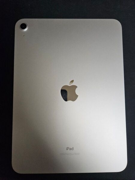 Apple iPad 2022 10.9インチ (第10世代) Wi-Fi 64GB シルバー