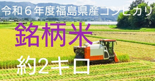 米 福島県産コシヒカリ 約2キロ 銘柄米