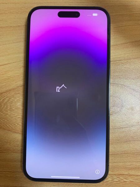 iPhone14 Pro Max 128GB パープル ジャンク 再起動 訳あり