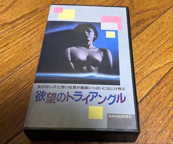 欲望のトライアングル VHS ビデオテープ 1988年 フランス映画 字幕 希少品 廃盤レア品 美品 送料込み 送料無料
