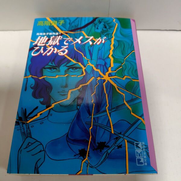 高階良子傑作選1 地獄でメスがひかる 講談社漫画文庫