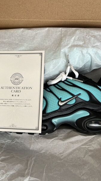Nike Air Max Plus "Aqua/Black/ White/Metallic Silver" NIKE