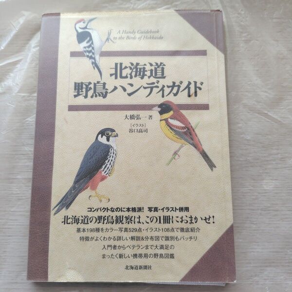 北海道野鳥ハンディガイド/単行本作家:大橋弘一