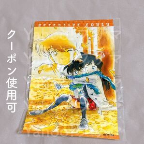 名探偵コナン 原作くじ D-2賞 ミニタペストリー タペストリー 江戸川コナン 毛利蘭 工藤新一 コナン コナン展 グッズ 原作絵