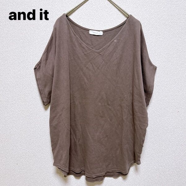 and it_ Vネック Tシャツ ブラウン トップス 半袖 夏 普段着