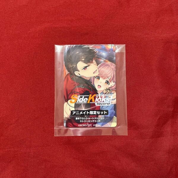 Side Kicks! beyond アニメイト 小冊子 ストリーミング
