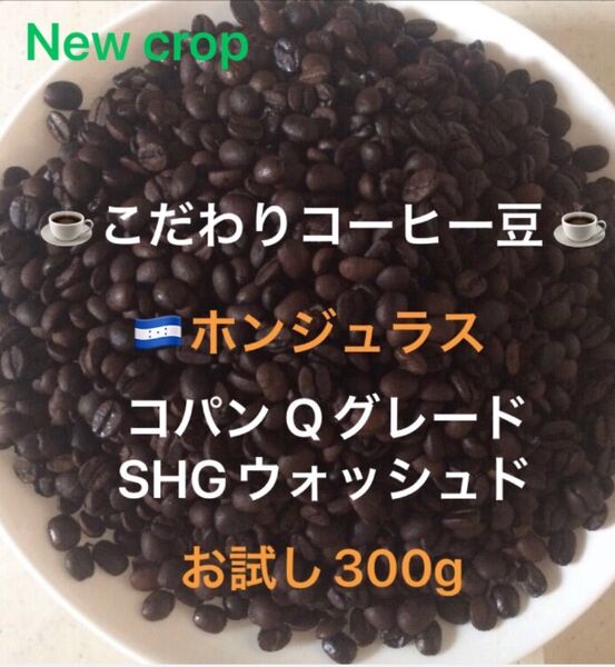 こだわりコーヒー豆 ホンジュラス コパンSHG お試し300g 中深煎り 自家焙煎 Qグレード ウォッシュド ニュークロップ