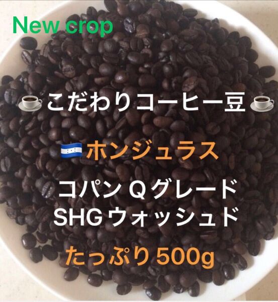こだわりコーヒー豆 ホンジュラス コパンSHG たっぷり500g 中深煎り 自家焙煎珈琲 Qグレード ウォッシュド ニュークロップ
