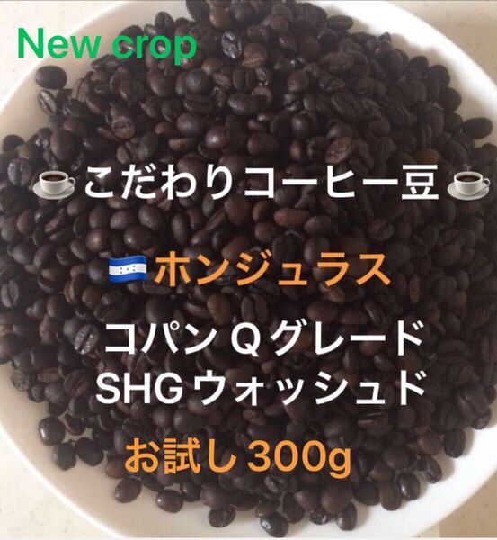 こだわりコーヒー豆 ホンジュラスSHG コパン お試し300g 中深煎り 自家焙煎珈琲 Qグレード ウォッシュド