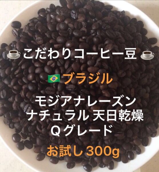 こだわりコーヒー豆 ブラジルモジアナレーズン お試し300g 中深煎り 自家焙煎 Qグレード ナチュラル・天日乾燥