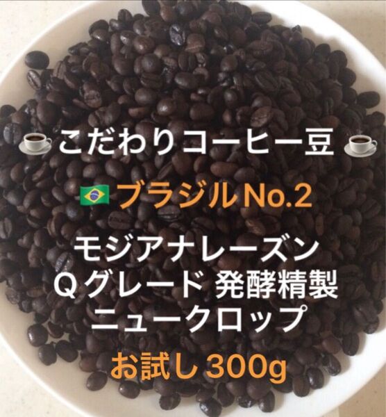 こだわりコーヒー豆 ブラジルNo.2 モジアナレーズン お試し300g 中深煎り 自家焙煎 Qグレード ナチュラル ニュークロップ