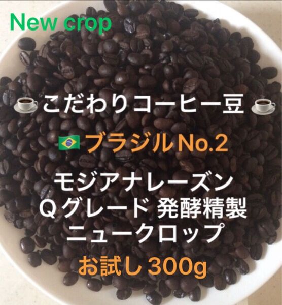 こだわりコーヒー豆 ブラジルNo.2 モジアナレーズン お試し300g 中深煎り 自家焙煎 Qグレード ナチュラル・天日乾燥