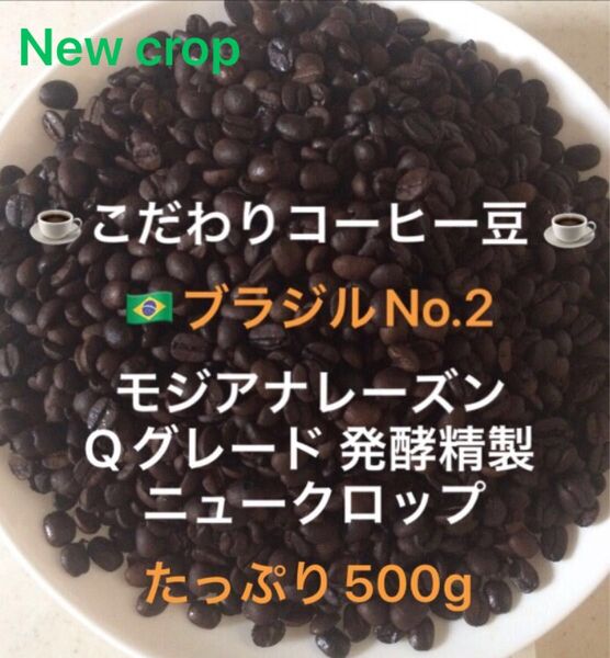 こだわりコーヒー豆 ブラジルNo.2 モジアナレーズン たっぷり500g中深煎り 自家焙煎 Qグレード ナチュラル ニュークロップ