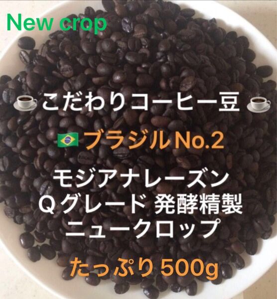 こだわりコーヒー豆 ブラジルNo.2 モジアナレーズン たっぷり500g中深煎り 自家焙煎 Qグレード ナチュラル ニュークロップ