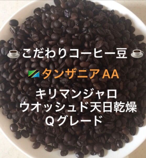 大容量900g こだわりコーヒー豆 タンザニアAA キリマンジャロ 中深煎り 自家焙煎珈琲 Qグレード ニュークロップ