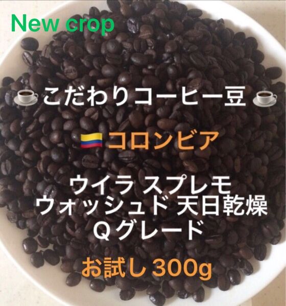 こだわりコーヒー豆 コロンビア ウイラスプレモ Qグレード お試し300g 中深煎り 自家焙煎珈琲 ウォッシュド ニュークロップ